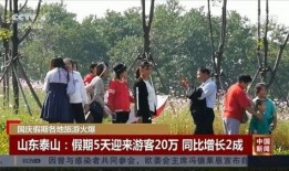 泰山领队爆料新闻视频,揭秘泰山登山背后的惊险故事